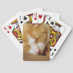 Schlafkitten Spielkarten
