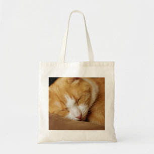 Schlafkitten Tragetasche