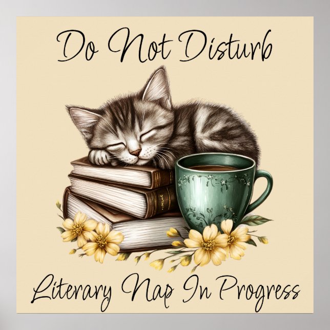 Schlafkitty Wertvoll Kitty Poster (Vorne)