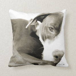 Schlafkopfbull sepia photokissen kissen