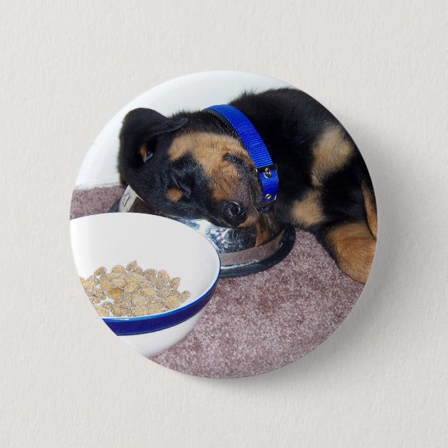 Schlafkopfrottweiler. Button (Vorderseite)