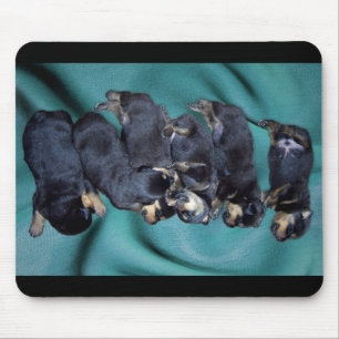 Schlafkopfwelpen Mousepad