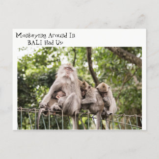 Schlaflose Affen auf Bali Postkarte