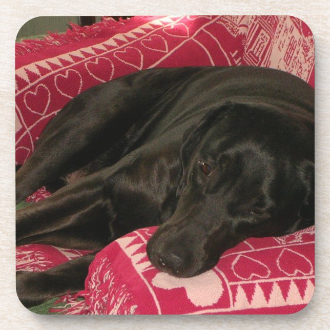 Schlaflose Hunde Untersetzer - Set von 6 Jahren (Vorderseite)