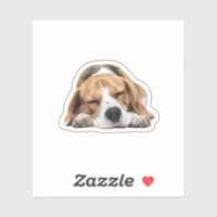 Schlafloser Beagle Hund - Niedliches, gemütliches
