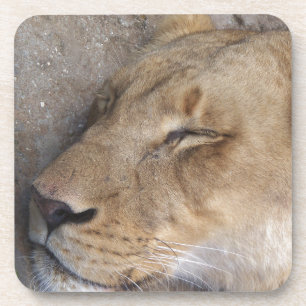 Schlaflosigkeit Untersetzer