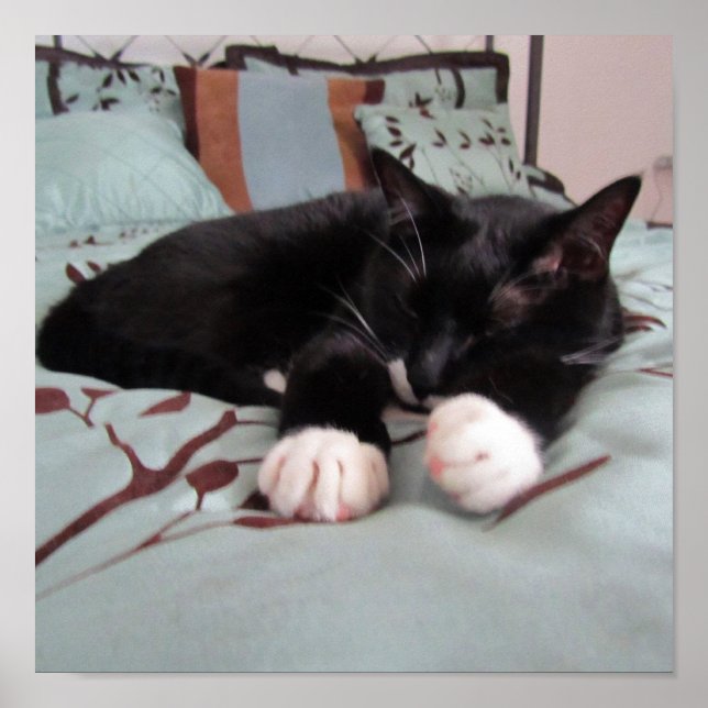 Schlaflucy Poster (Vorne)