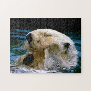 Schlafmeer Otter, Puzzle