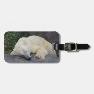 Schlafpolarbär Gepäckanhänger