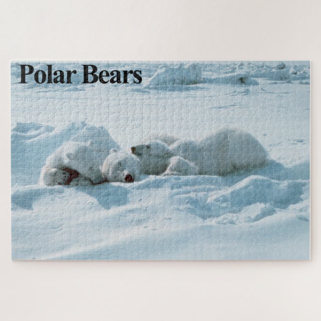 Schlafpolare Bären Jigsaw Puzzle (Horizontal)