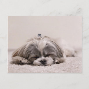 Schlafpuppe Postkarte