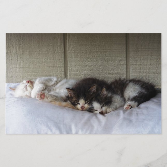 Schlafräume (Vorderseite)