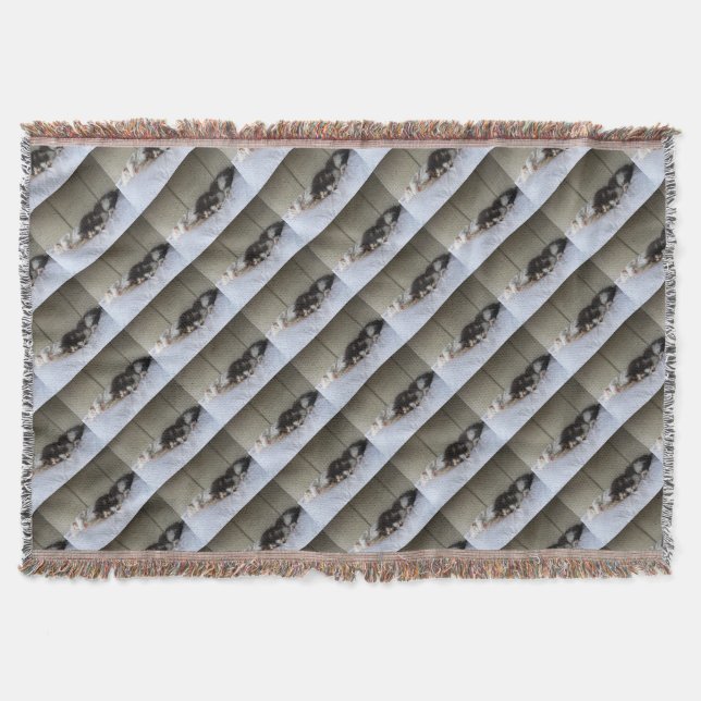 Schlafräume Decke (Vorderseite)