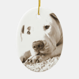 schläfrig-freundliche, weiße Pitbulle Hassdee nich Keramik Ornament