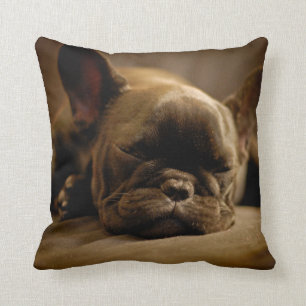 Schläfrige französische Bulldogge Kissen