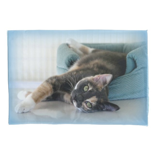 Schläfrige Katze auf blauem Bett Kissenbezug (Vorderseite)