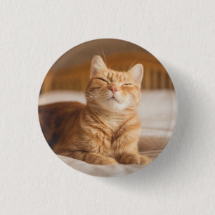 Schläfrige Katze Getty Bild-  Button