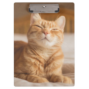 Schläfrige Katze Getty Bild-  Klemmbrett