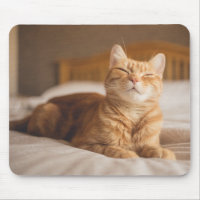 Schläfrige Katze Getty Bild-|