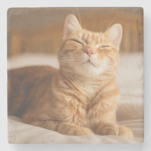 Schläfrige Katze Getty Bild- Steinuntersetzer
