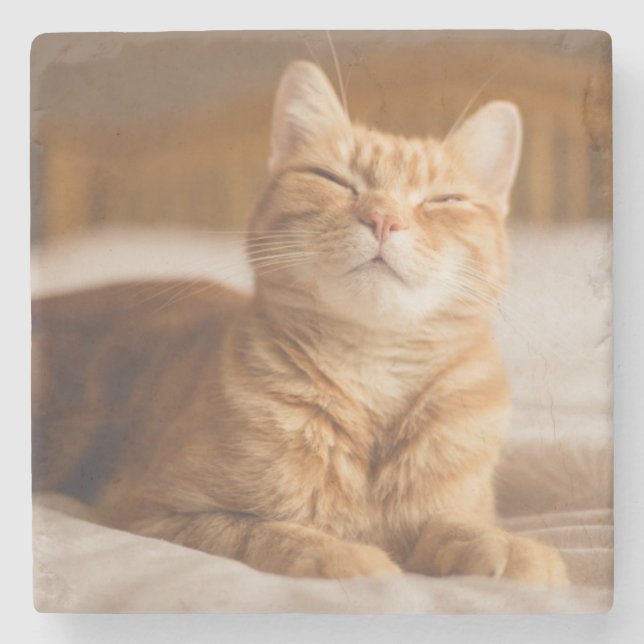 Schläfrige Katze Getty Bild-| Steinuntersetzer (Vorderseite)