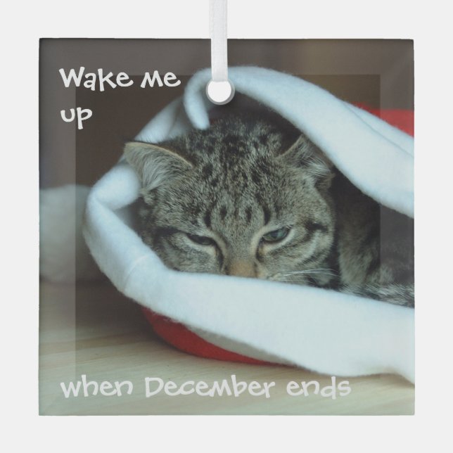 Schläfrige Katze in Weihnachtsmannmütze Ornament Aus Glas (Vorderseite)