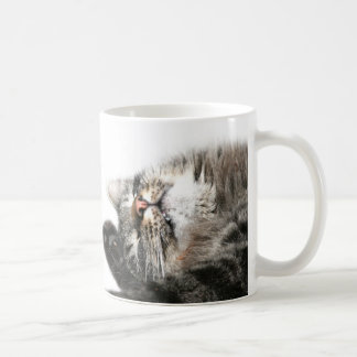Schläfrige Katze will Kaffee Kaffeetasse