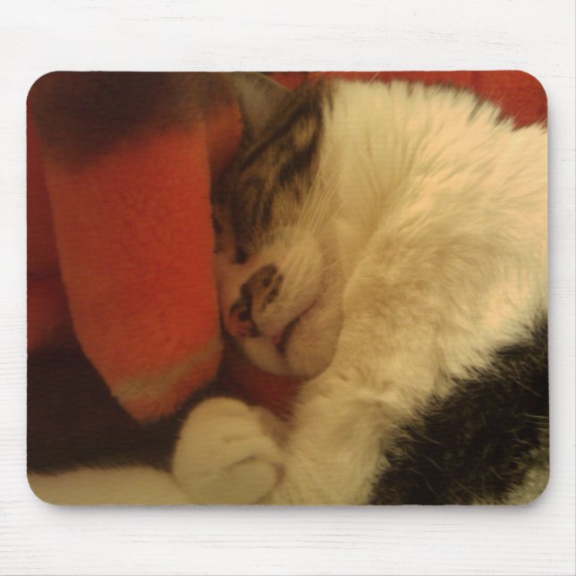 Schläfrige Miezekatze Mousepad (Vorne)
