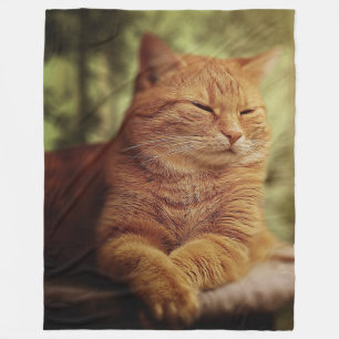 Schläfrige orange Katze auf großer Fleece-Decke Fleecedecke