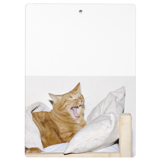 Schläfrige orange Tabbykatze Klemmbrett (Rückseite)