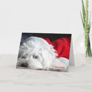 Schläfrige Sankt Feiertagskarte