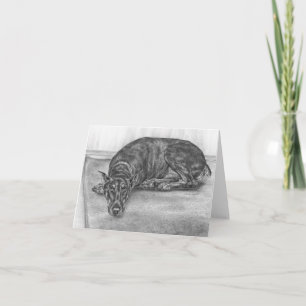 Schläfriger Dobermannpinscher-Hund, der durch Karte