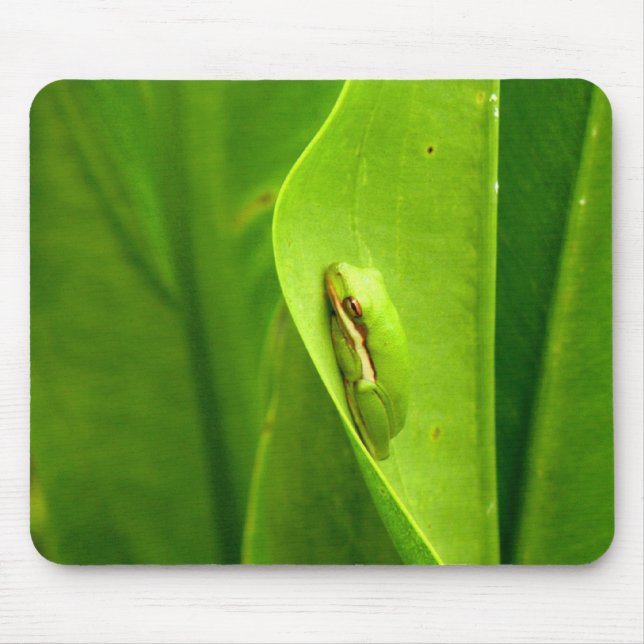Schläfriger grüner Frosch Mousepad (Vorne)