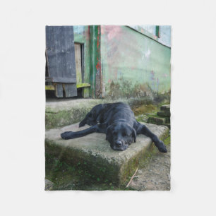 Schläfriger Hund Fleecedecke