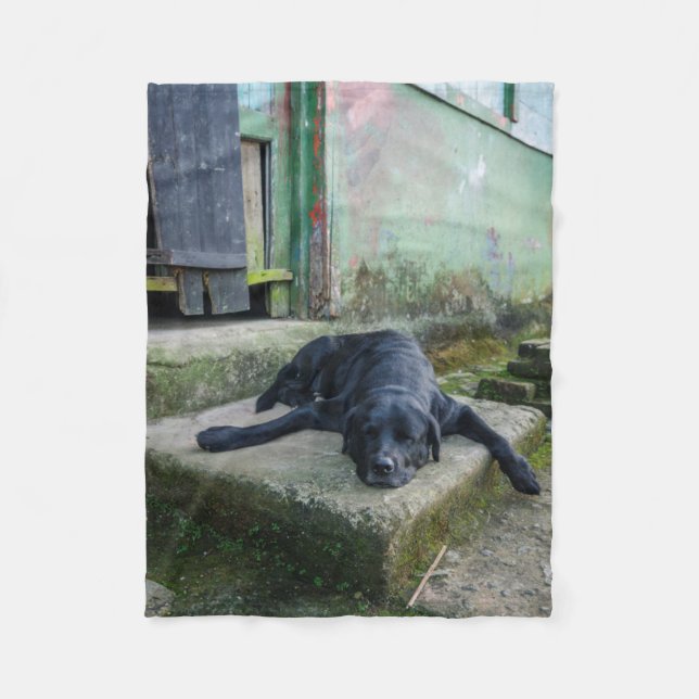 Schläfriger Hund Fleecedecke (Vorderseite)