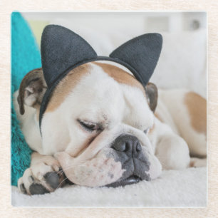 Schläfriger Hund Getty Bild- mit Katzen-Stirnban Glasuntersetzer