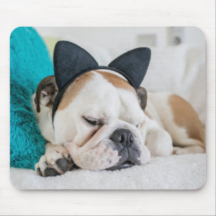 Schläfriger Hund Getty Bild-  mit Katzen-Stirnband Mousepad
