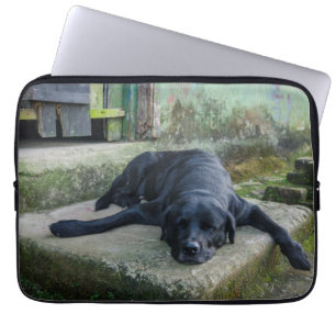 Schläfriger Hund Laptopschutzhülle
