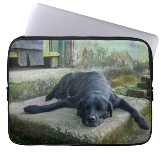 Schläfriger Hund Laptopschutzhülle (Vorderseite)
