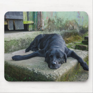 Schläfriger Hund Mousepad