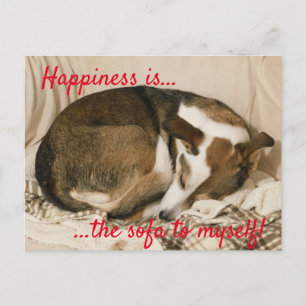 Schläfriger Hund Postkarte