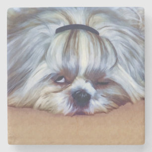 Schläfriger Hund Shih Tzu Steinuntersetzer