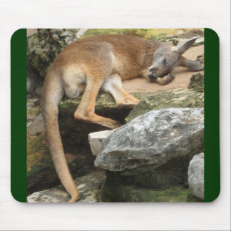 Schläfriger Känguru Mousepad