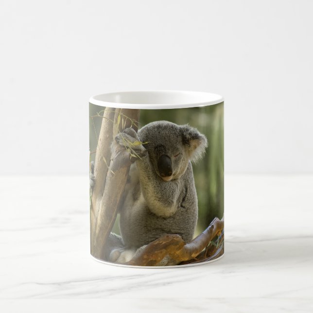Schläfriger Koala-Bär Kaffeetasse (Mittel)