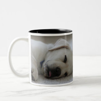 SCHLÄFRIGER LABRADOR ZWEIFARBIGE TASSE