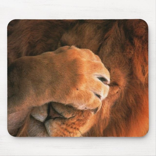 Schläfriger Löwe Mousepad (Vorne)