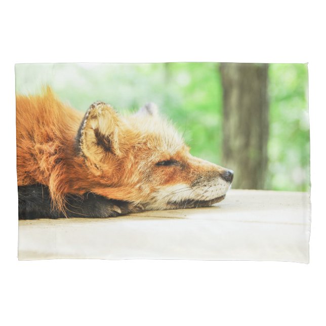 Schläfriger roter Fox in den Land-wild lebenden Kissenbezug (Vorderseite)