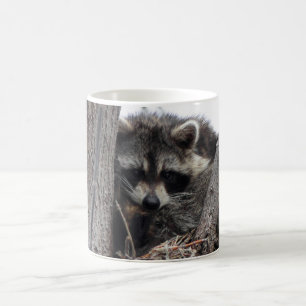 Schläfriger Waschbär Kaffeetasse