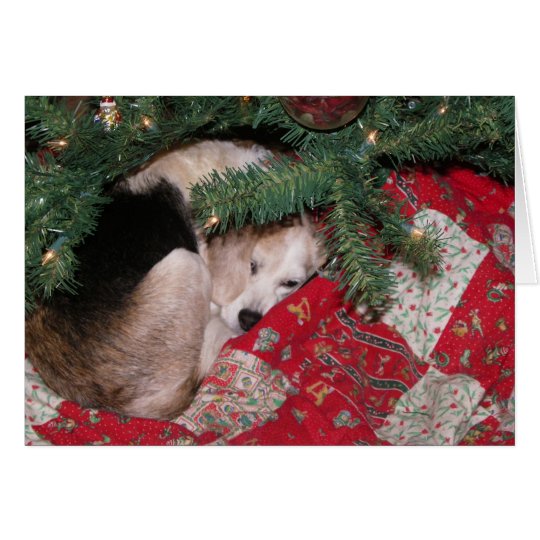 Schläfriger WeihnachtsBeagle Karte