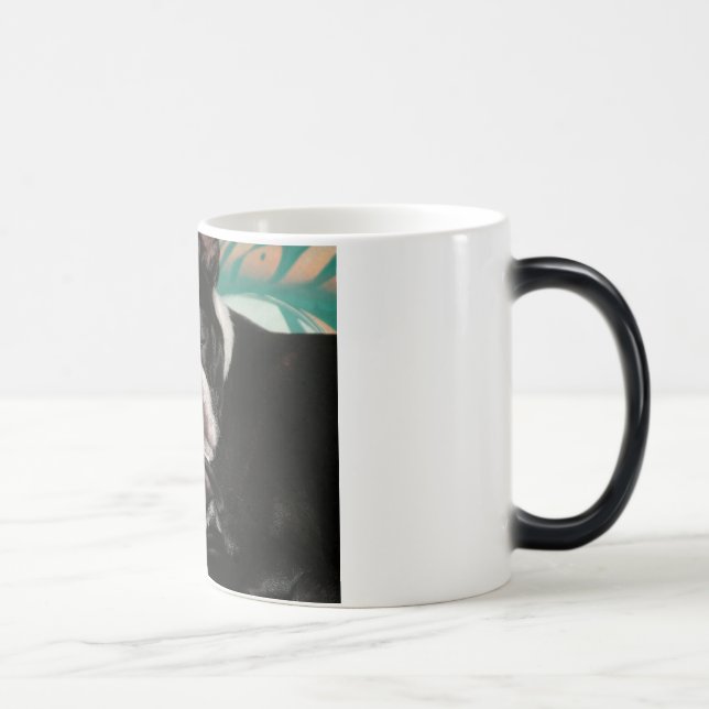 Schläfriges Bostons Verwandlungstasse (Rechts)